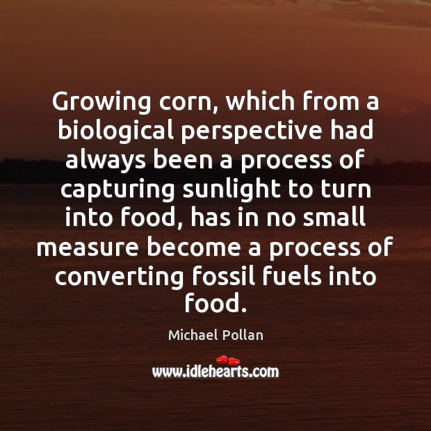 Growing corn, which from a biological perspective had always been a process Michael Pollan Picture Quote