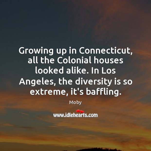 Growing up in Connecticut, all the Colonial houses looked alike. In Los Moby Picture Quote