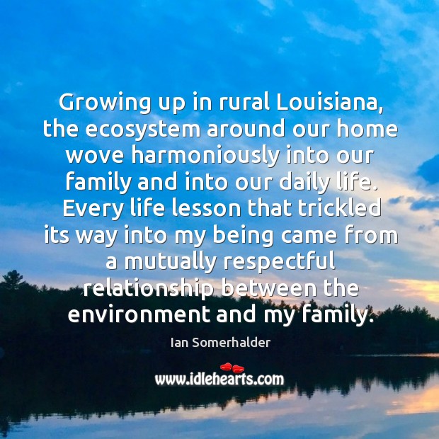 Growing up in rural Louisiana, the ecosystem around our home wove harmoniously Image