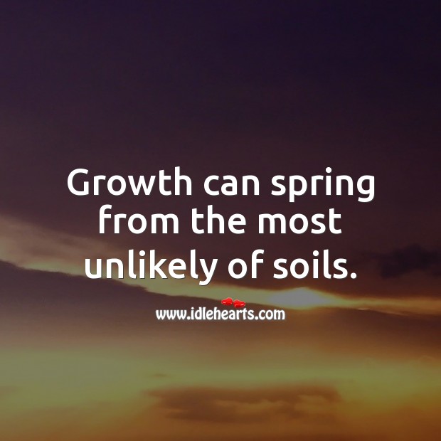 Growth can spring from the most unlikely of soils. Image
