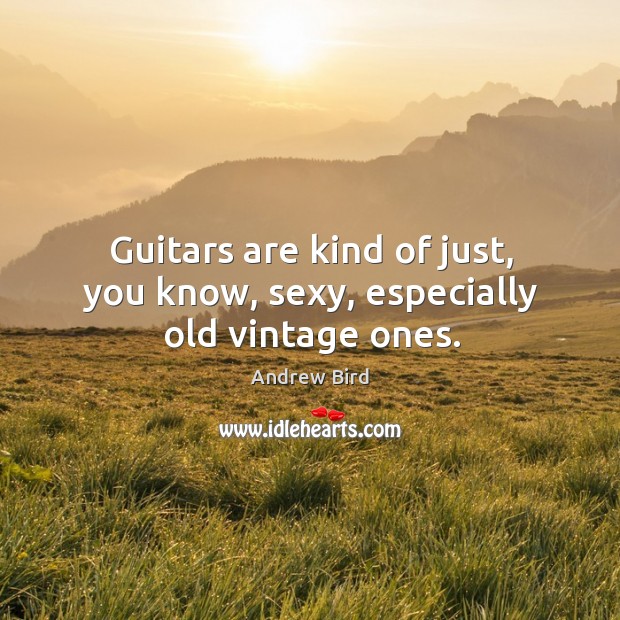 Guitars are kind of just, you know, sexy, especially old vintage ones. Andrew Bird Picture Quote