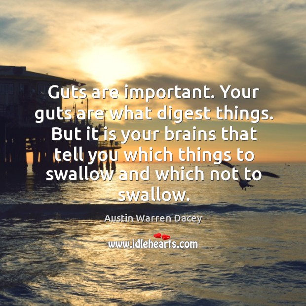 Guts are important. Your guts are what digest things. But it is your brains that tell you Image