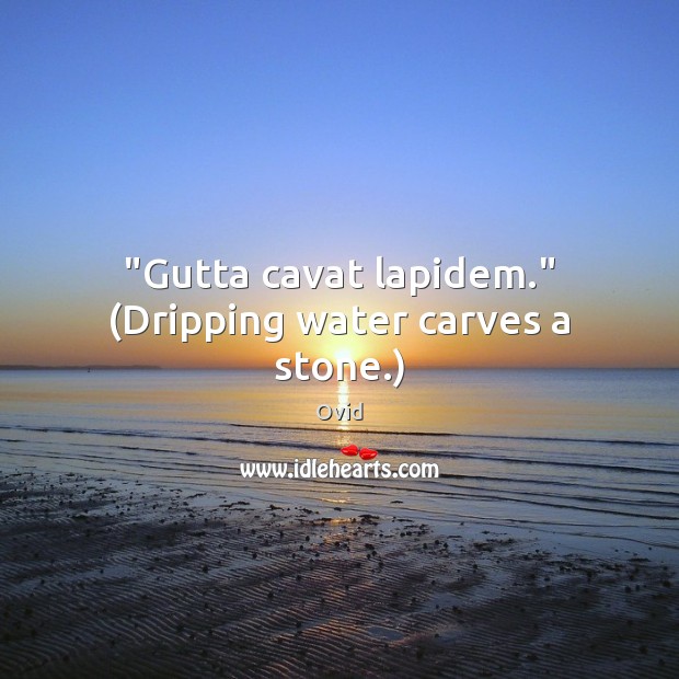 “Gutta cavat lapidem.” (Dripping water carves a stone.) Ovid Picture Quote
