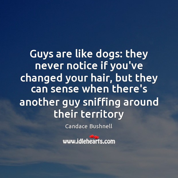 Guys are like dogs: they never notice if you’ve changed your hair, Candace Bushnell Picture Quote