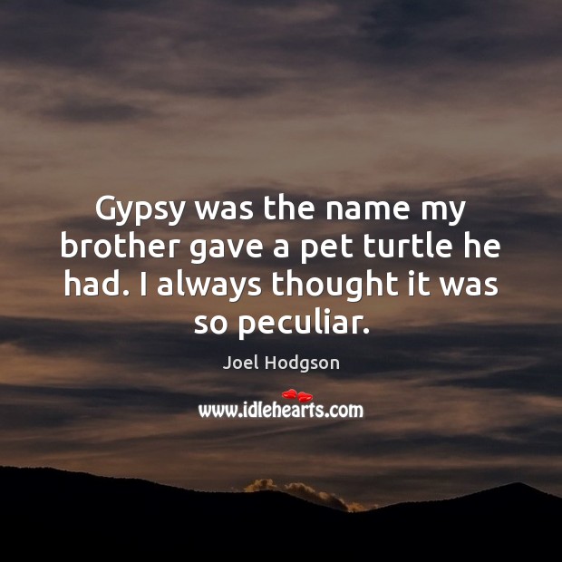 Gypsy was the name my brother gave a pet turtle he had. Joel Hodgson Picture Quote