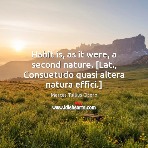 Habit is, as it were, a second nature. [Lat., Consuetudo quasi altera natura effici.] Marcus Tullius Cicero Picture Quote