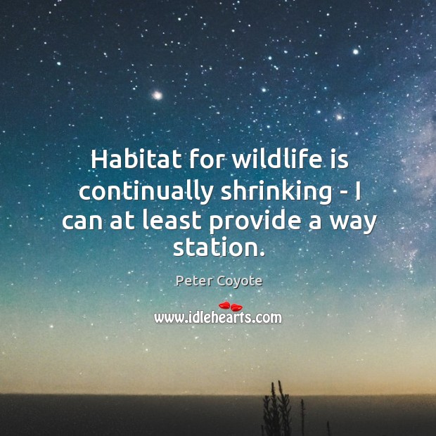 Habitat for wildlife is continually shrinking – I can at least provide a way station. Peter Coyote Picture Quote