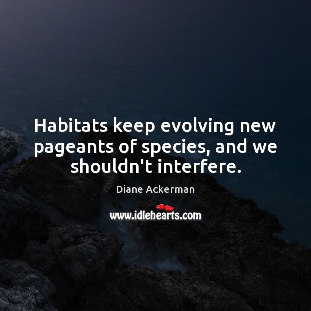 Habitats keep evolving new pageants of species, and we shouldn’t interfere. Diane Ackerman Picture Quote