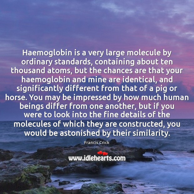 Haemoglobin is a very large molecule by ordinary standards, containing about ten Francis Crick Picture Quote