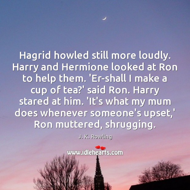Hagrid howled still more loudly. Harry and Hermione looked at Ron to 