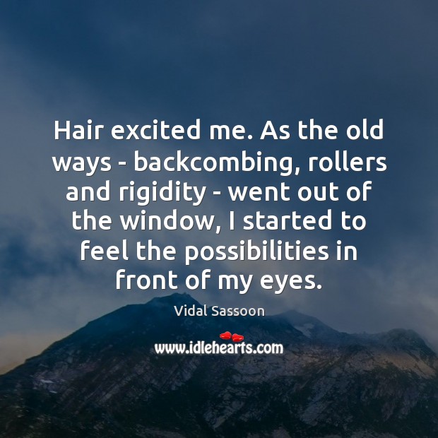 Hair excited me. As the old ways – backcombing, rollers and rigidity Vidal Sassoon Picture Quote