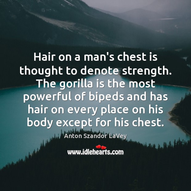 Hair on a man’s chest is thought to denote strength. The gorilla Anton Szandor LaVey Picture Quote