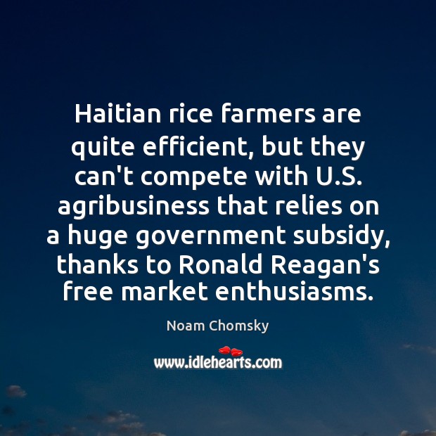Haitian rice farmers are quite efficient, but they can’t compete with U. Noam Chomsky Picture Quote