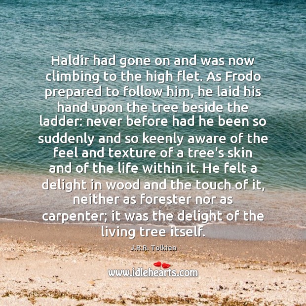 Haldir had gone on and was now climbing to the high flet. J.R.R. Tolkien Picture Quote
