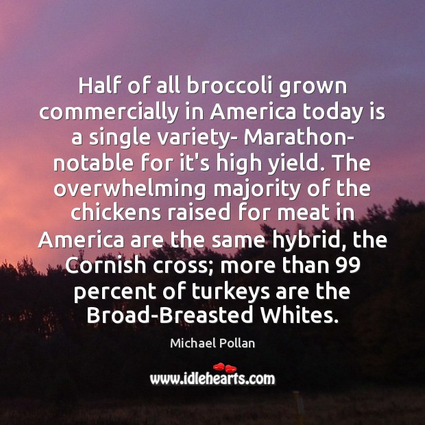 Half of all broccoli grown commercially in America today is a single Image