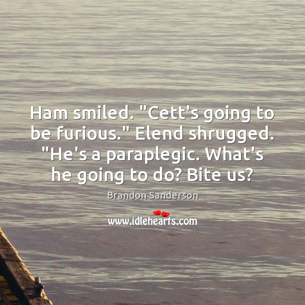Ham smiled. “Cett’s going to be furious.” Elend shrugged. “He’s a paraplegic. Image