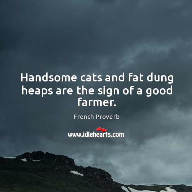 Handsome cats and fat dung heaps are the sign of a good farmer. French Proverbs Image