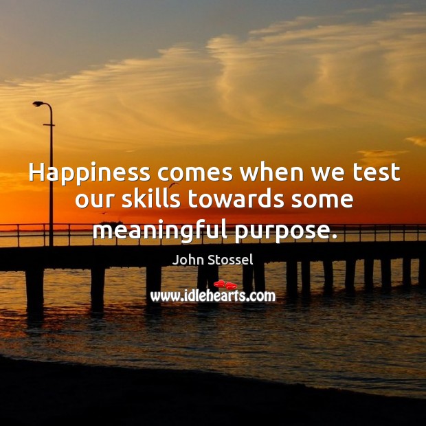 Happiness comes when we test our skills towards some meaningful purpose. Image
