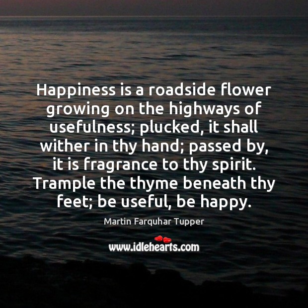 Happiness is a roadside flower growing on the highways of usefulness; plucked, Martin Farquhar Tupper Picture Quote