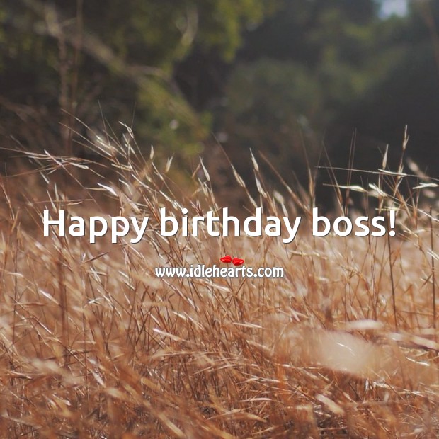 Happy birthday boss! 