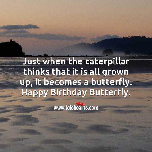Happy birthday butterfly Happy Birthday Messages Image