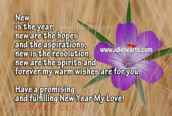 Have a promising, happy and fulfilling new year my love! New Year Quotes Image