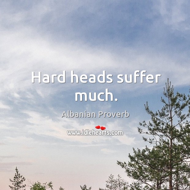 Hard heads suffer much. Image