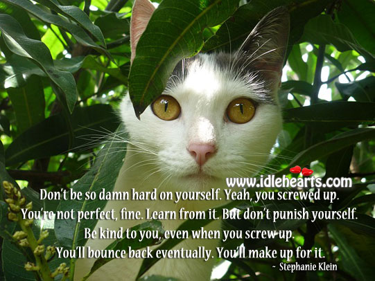 Don’t be so damn hard on yourself. Stephanie Klein Picture Quote