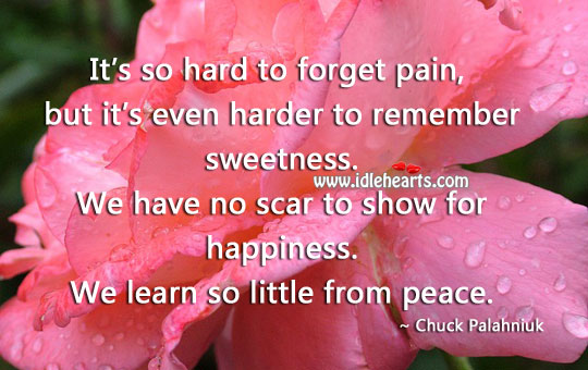 It’s so hard to forget pain Chuck Palahniuk Picture Quote