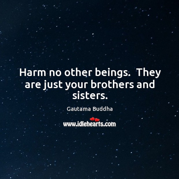 Harm no other beings.  They are just your brothers and sisters. Gautama Buddha Picture Quote
