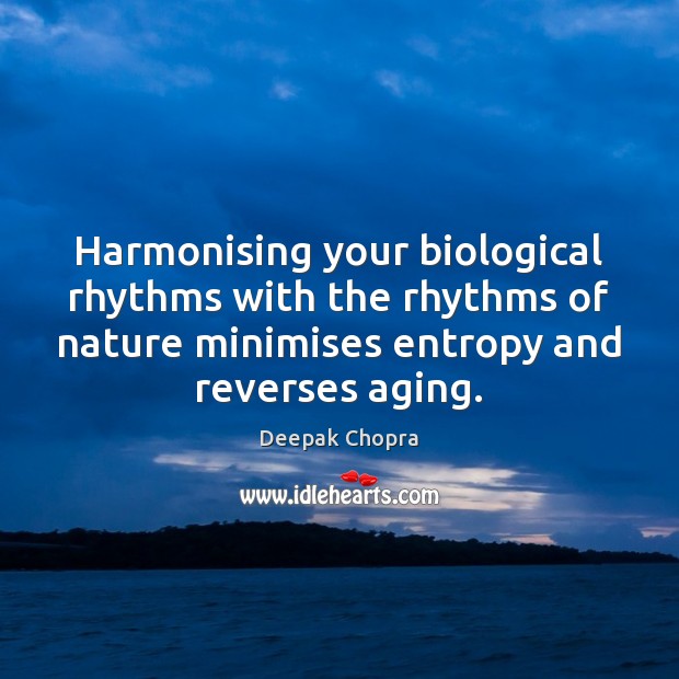 Harmonising your biological rhythms with the rhythms of nature minimises entropy and Image