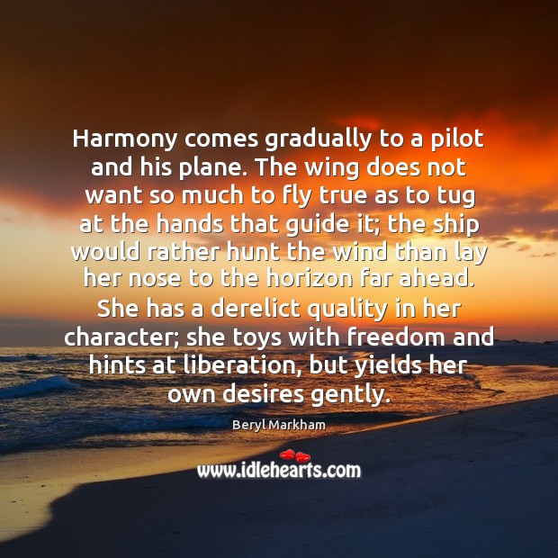 Harmony comes gradually to a pilot and his plane. The wing does Image