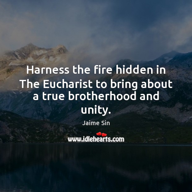 Harness the fire hidden in The Eucharist to bring about a true brotherhood and unity. Hidden Quotes Image