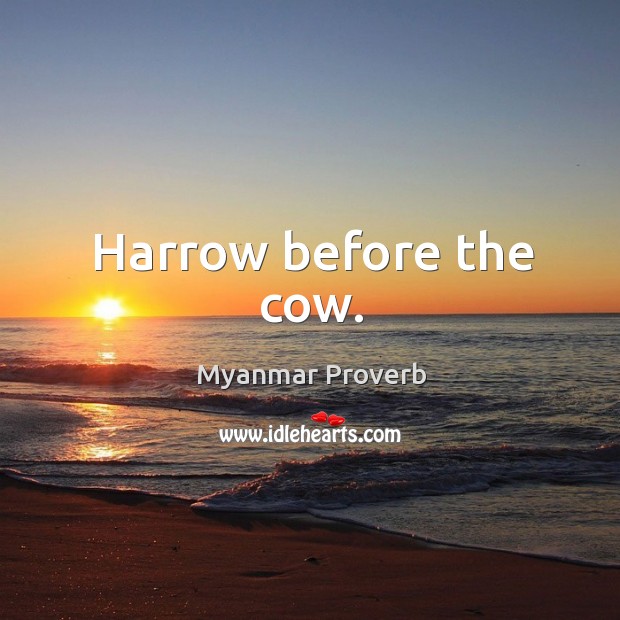 Harrow before the cow. Myanmar Proverbs Image