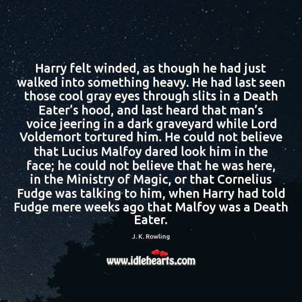 Harry felt winded, as though he had just walked into something heavy. J. K. Rowling Picture Quote