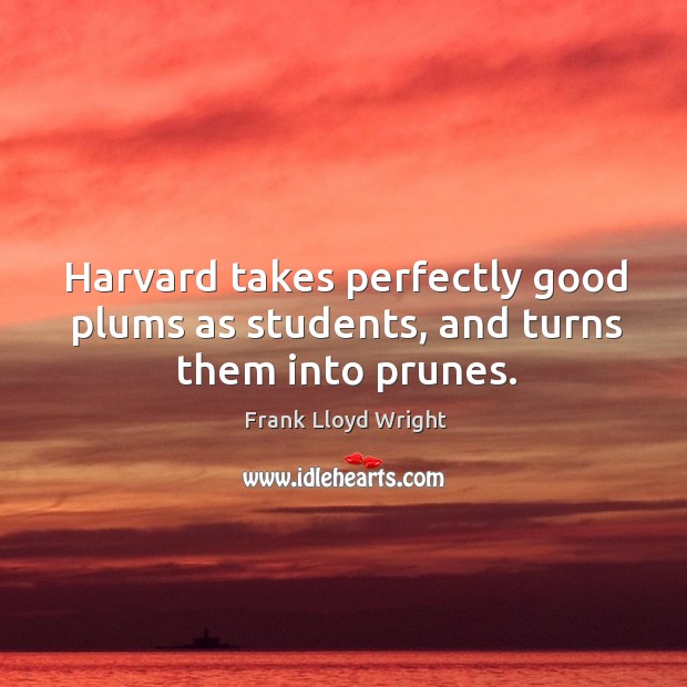 Harvard takes perfectly good plums as students, and turns them into prunes. Frank Lloyd Wright Picture Quote