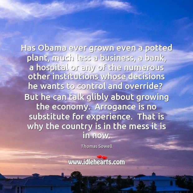 Has Obama ever grown even a potted plant, much less a business, Thomas Sowell Picture Quote