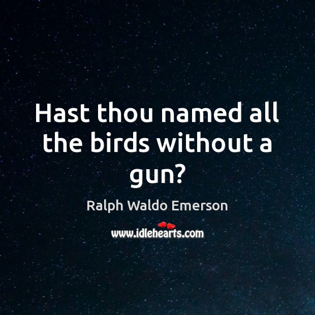 Hast thou named all the birds without a gun? Ralph Waldo Emerson Picture Quote