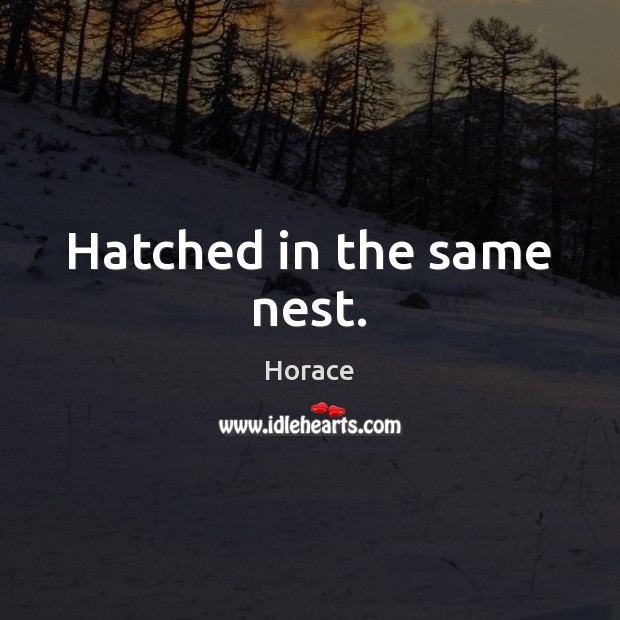 Hatched in the same nest. Horace Picture Quote