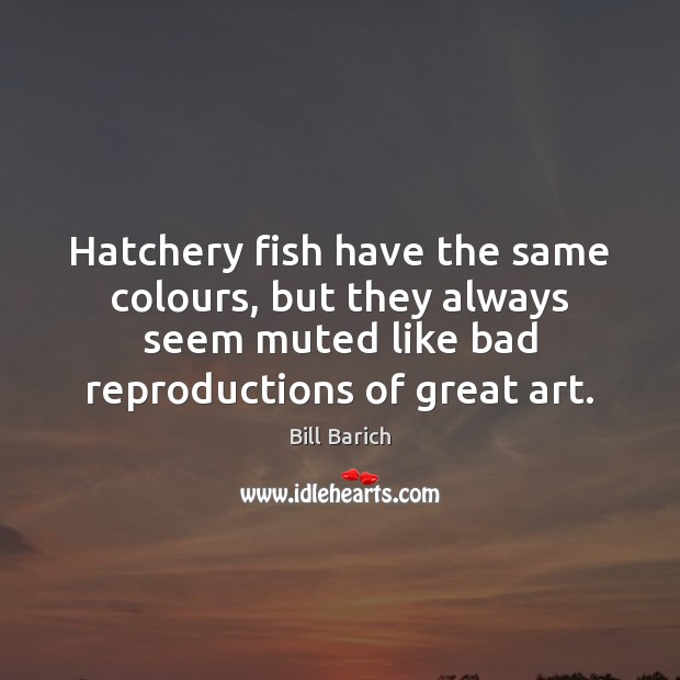 Hatchery fish have the same colours, but they always seem muted like Bill Barich Picture Quote