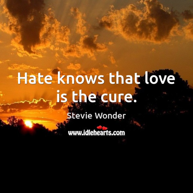 Hate knows that love is the cure. Stevie Wonder Picture Quote