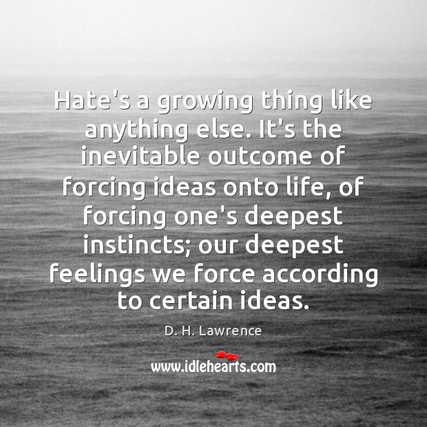 Hate’s a growing thing like anything else. It’s the inevitable outcome of D. H. Lawrence Picture Quote