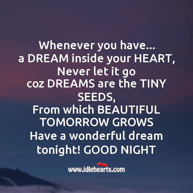 Have a wonderful dream tonight! Good Night Quotes Image