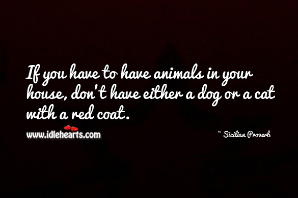 If you have to have animals in your house, don’t have either a dog or a cat with a red coat. 