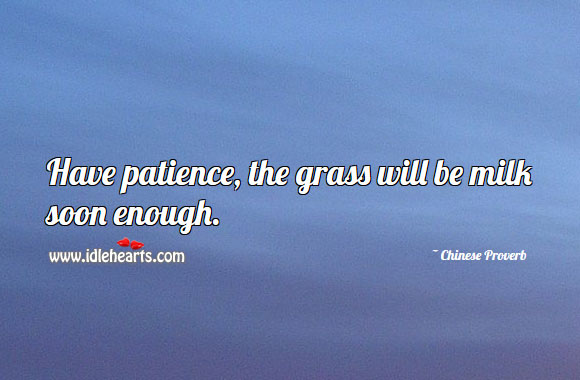 Have patience, the grass will be milk soon enough. Image