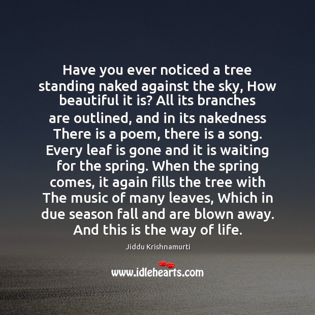 Have you ever noticed a tree standing naked against the sky, How Jiddu Krishnamurti Picture Quote