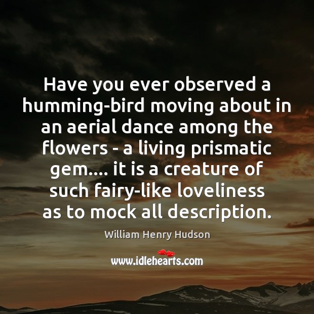 Have you ever observed a humming-bird moving about in an aerial dance William Henry Hudson Picture Quote