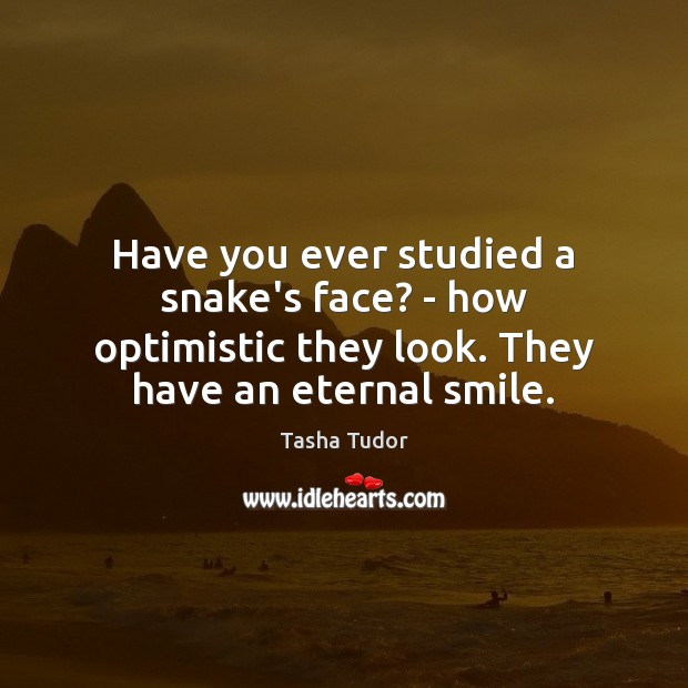 Have you ever studied a snake’s face? – how optimistic they look. Tasha Tudor Picture Quote