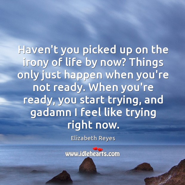 Haven’t you picked up on the irony of life by now? Things Elizabeth Reyes Picture Quote