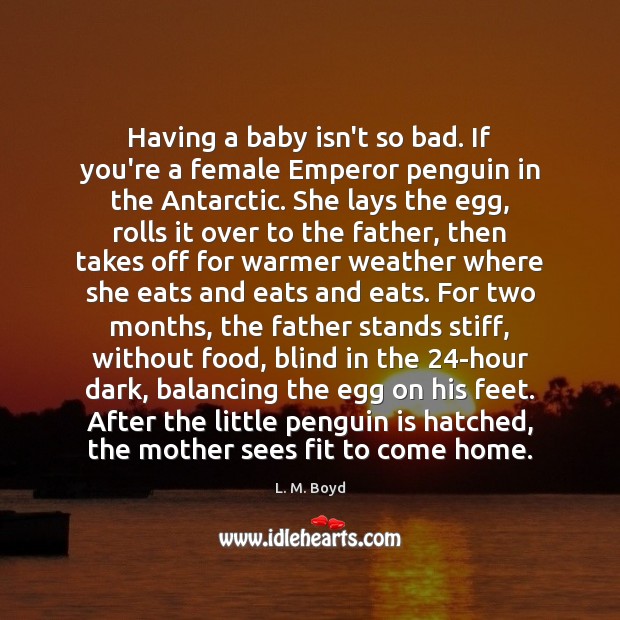 Having a baby isn’t so bad. If you’re a female Emperor penguin L. M. Boyd Picture Quote